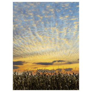 XL-Stoffbanner "Sonnenuntergang" aus schwer entflammbarem Fahnenstoff 150 x 200 cm