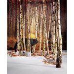 Bannière en tissu XXL "Chemin forestier d'automne" difficilement inflammable - 3