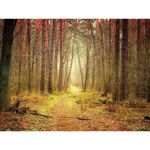 Bannière en tissu XXL "Chemin forestier d'automne" difficilement inflammable - 0