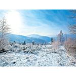 XXL-Stoffbanner "Winterlandschaft" schwer entflammbar - 0