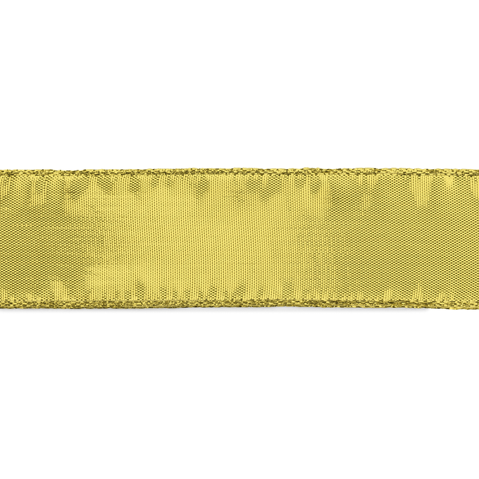 Rotolo nastro scozzese 25 mm x 2,7 m