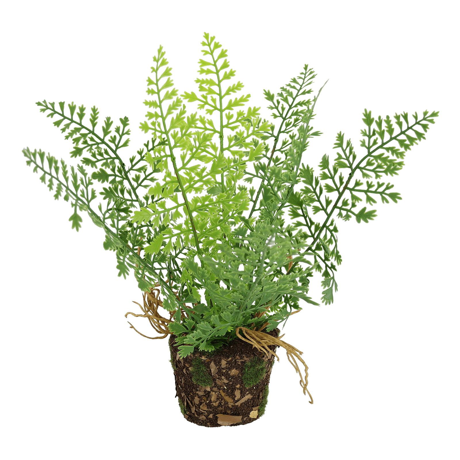 Artificial fern bush in a pot 24 x 14 cm - 0 Artificial fern bush in a pot 24 x 14 cm - 0