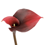 Branche de calla rouge artificielle 85 cm - 1