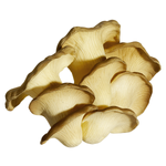 Mushrooms food replica 18 cm  - 0