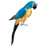 Deko Papagei blau-gelb, 70 cm lang - 0