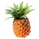 Pineapple food replica 21 cm - 0
