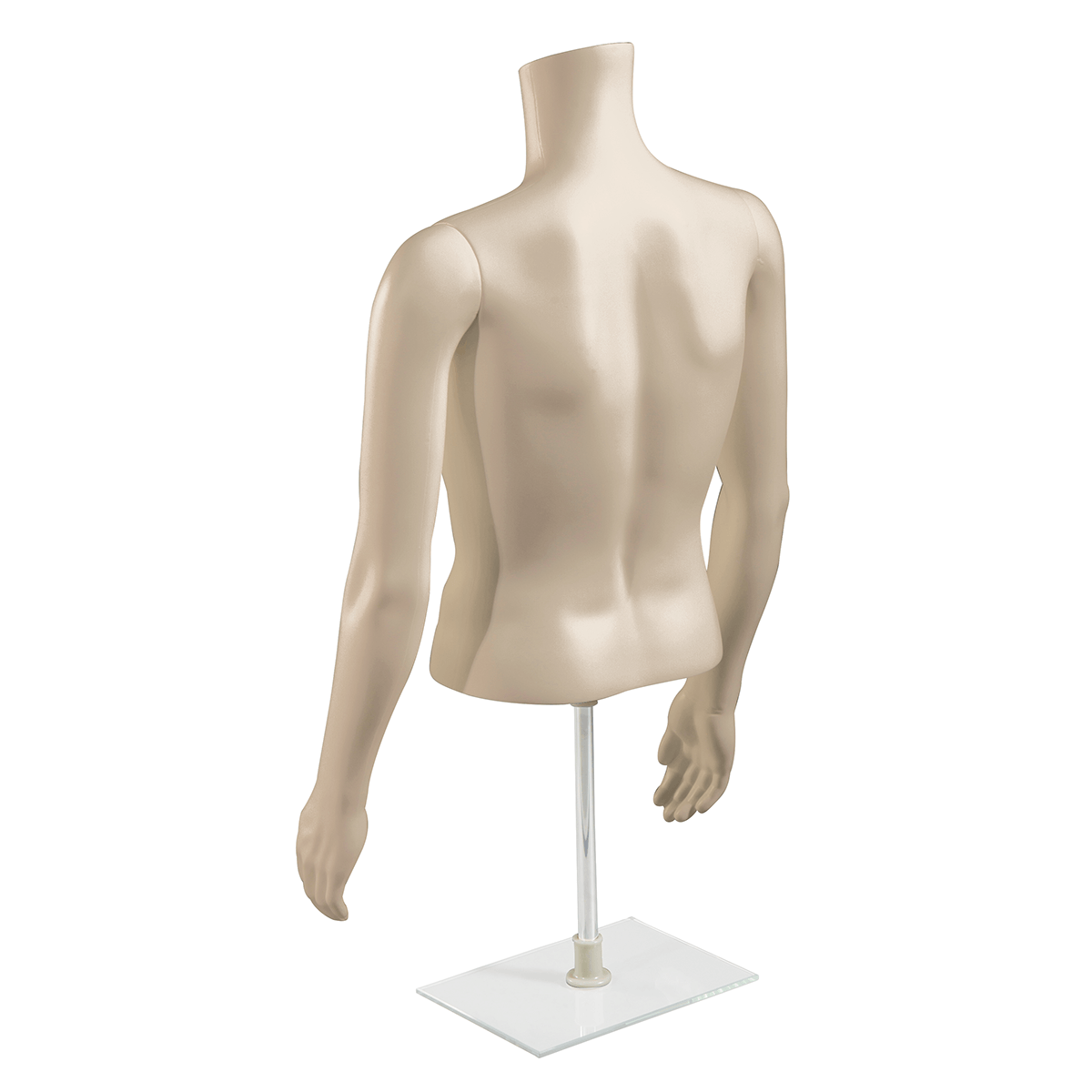 Torso masculino PE ecológico, color de la piel - 7 Torso masculino PE ecológico, color de la piel - 7