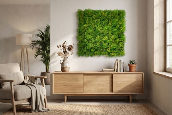 Mooswand Wohnzimmer