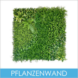 Pflanzenwand