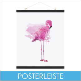 Posterleiste