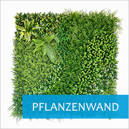 Pflanzenwand