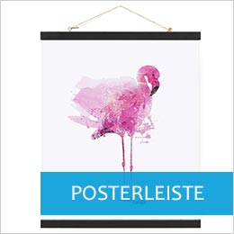 Posterleiste