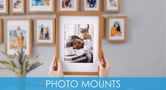 Picture frame mounts
