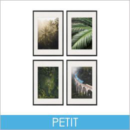 Petit