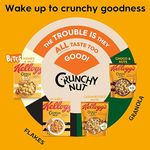 Kellogg's Crunchy Nut Granola Classic -