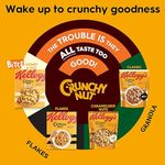 Crunchy Nut Granola Choco & Nut -