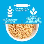 Kellogg's Rice Krispies -