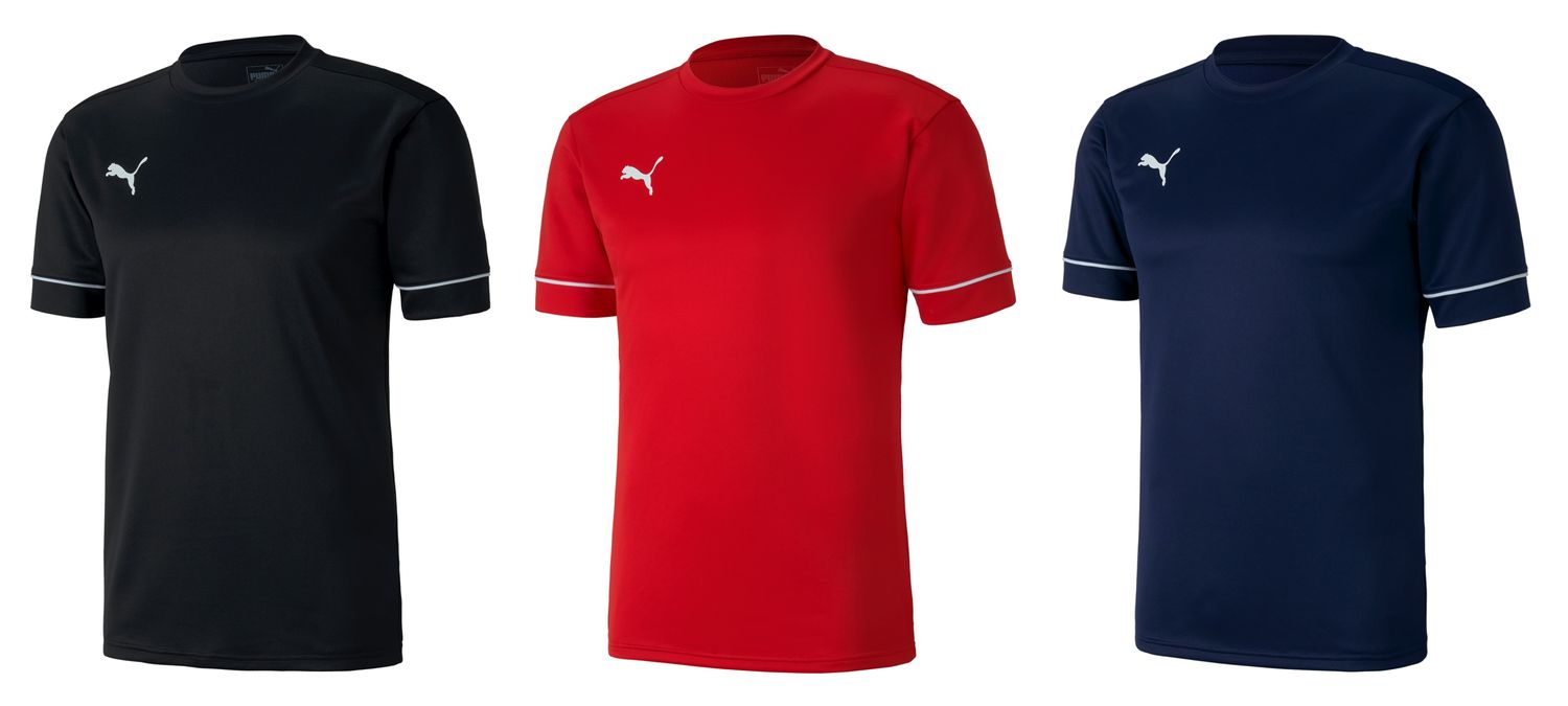 puma teamgoal 23 training jersey