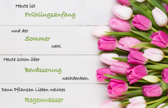 Sale / Angebote