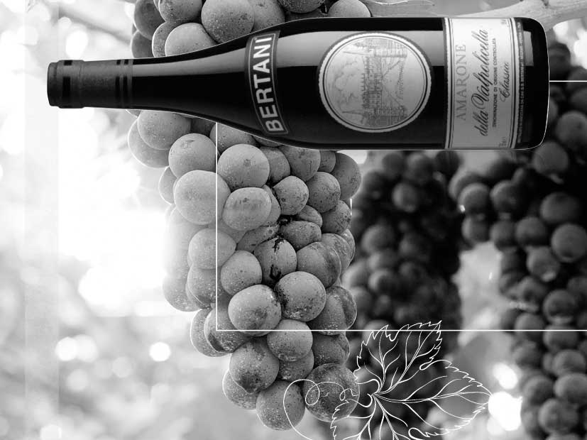 Weinabend mit der Kollektion von Cantine Bertani bei Victoria Weine Bad Mergentheim
