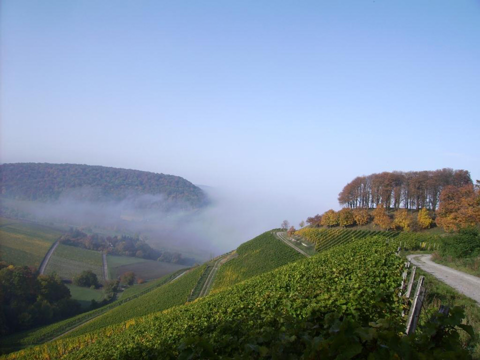 Fürstlich Castellsche Domänenamt