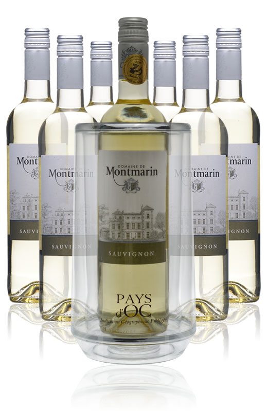 7 Flaschen 2018 Sauvignon + Kühler - Domaine de Montmarin - Weißwein 7 Flaschen 2018 Sauvignon + Kühler - Domaine de Montmarin - Weißwein