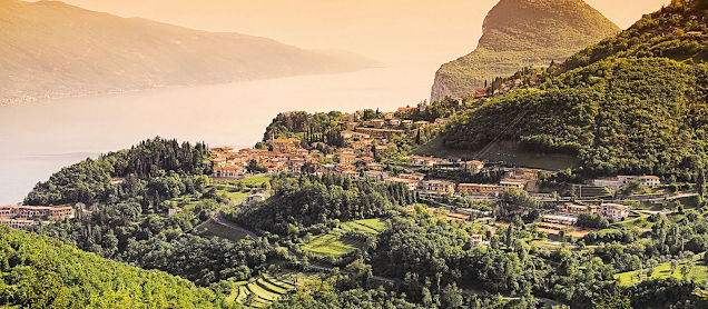 Weinberge Olivini Lugana