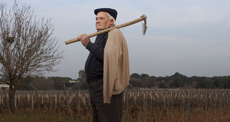 Die Genossen von San Marzano Mitarbeiter der Cantina San Marzano in Apulien