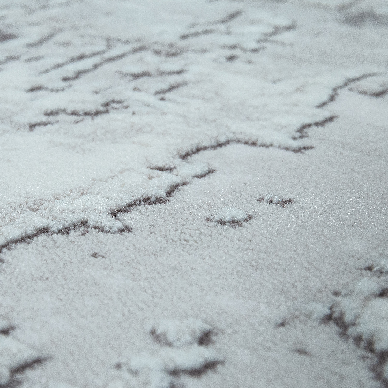 Industrial-Teppich Used-Look Beton-Optik | TeppichCenter24