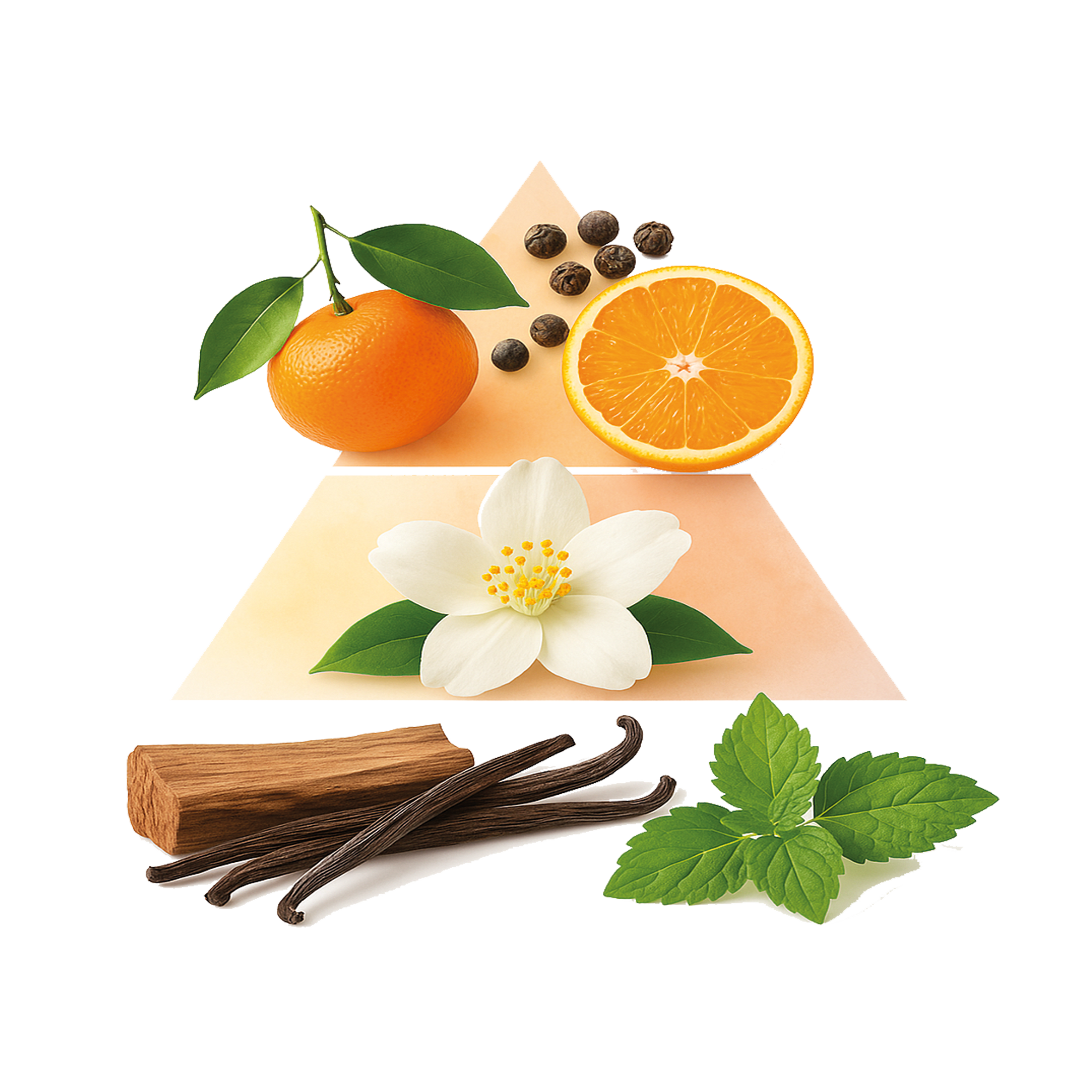 Duftpyramide Bijou Black EDP