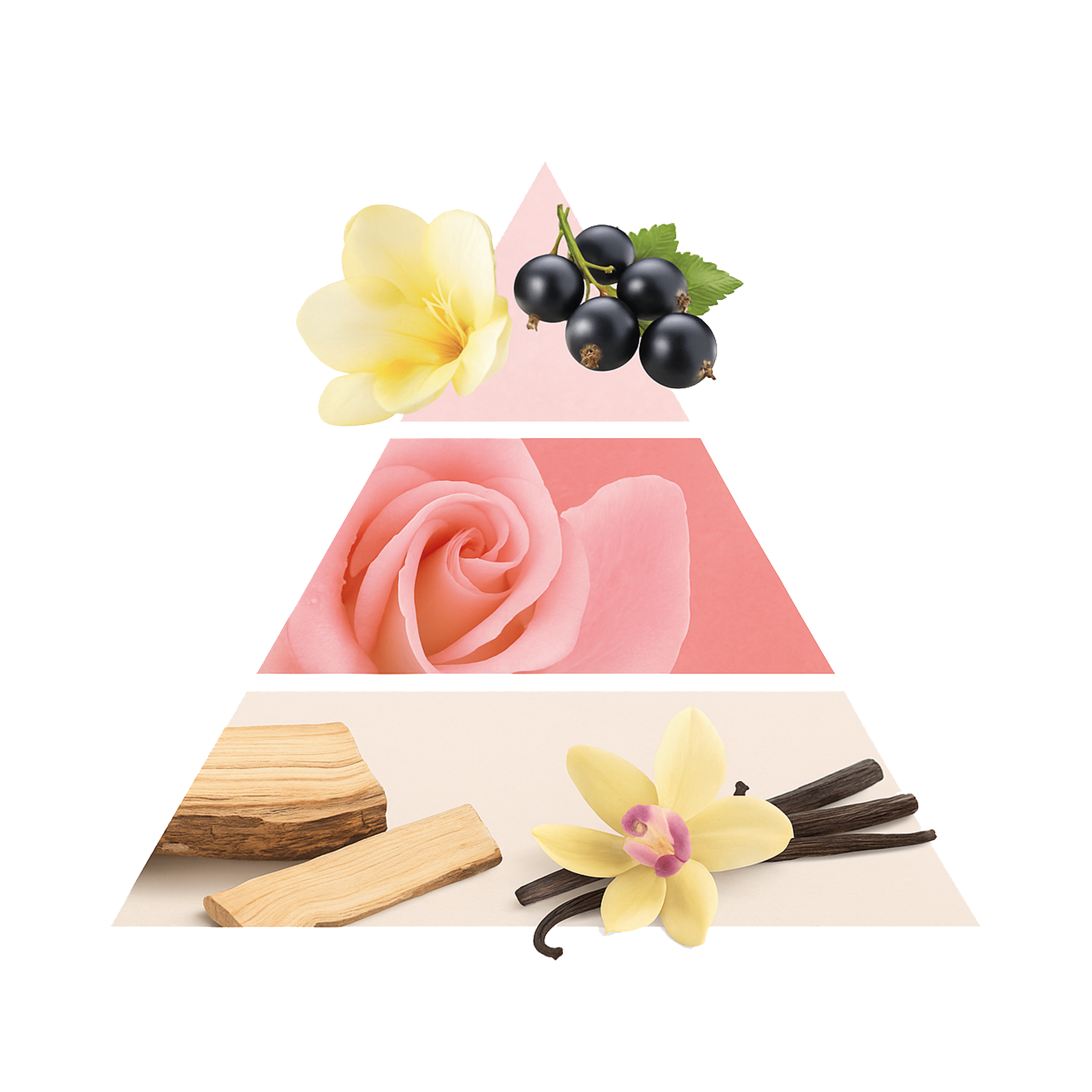 Duftpyramide Fleur Japonaise EDP