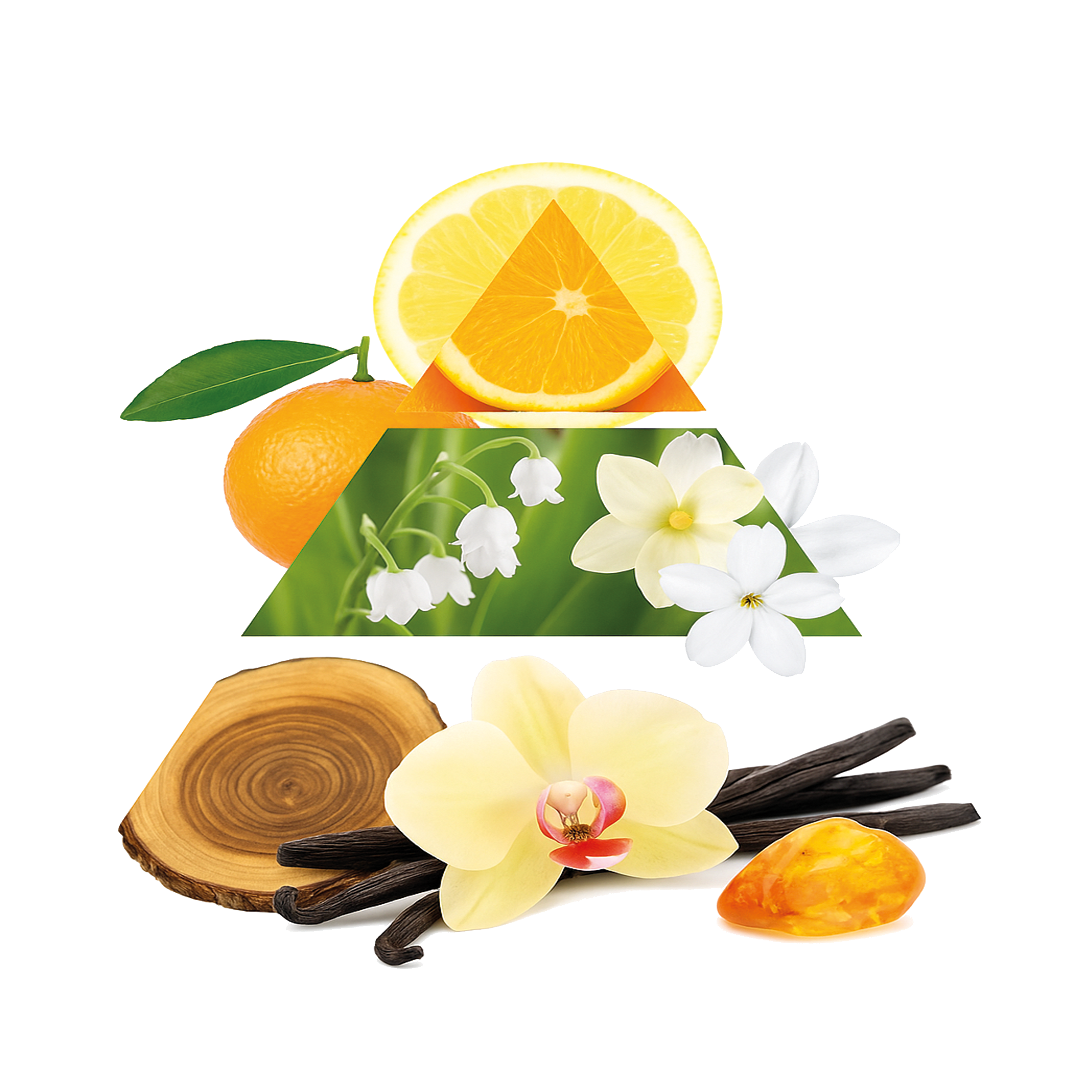 Duftpyramide Imperium Women EDP