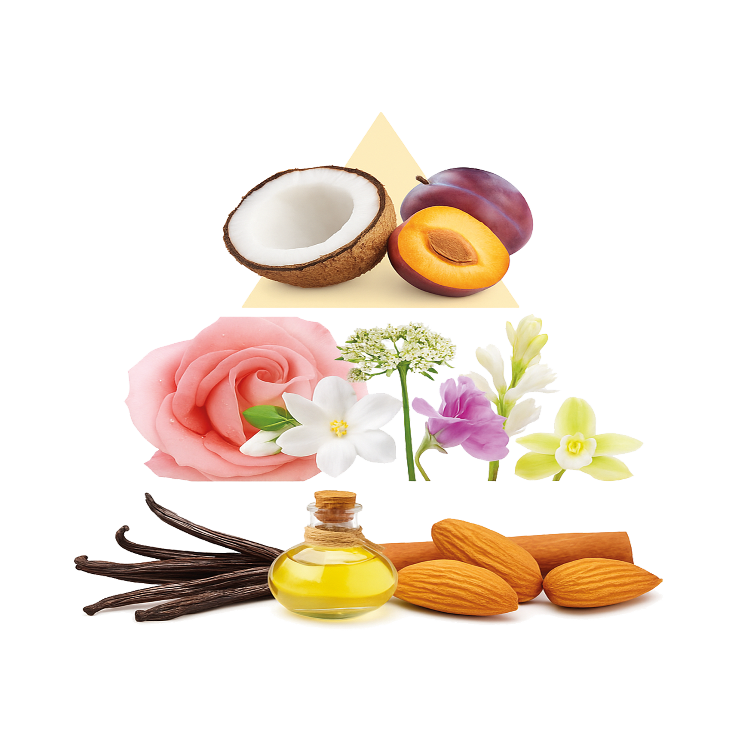 Duftpyramide Mirielle Amore EdP