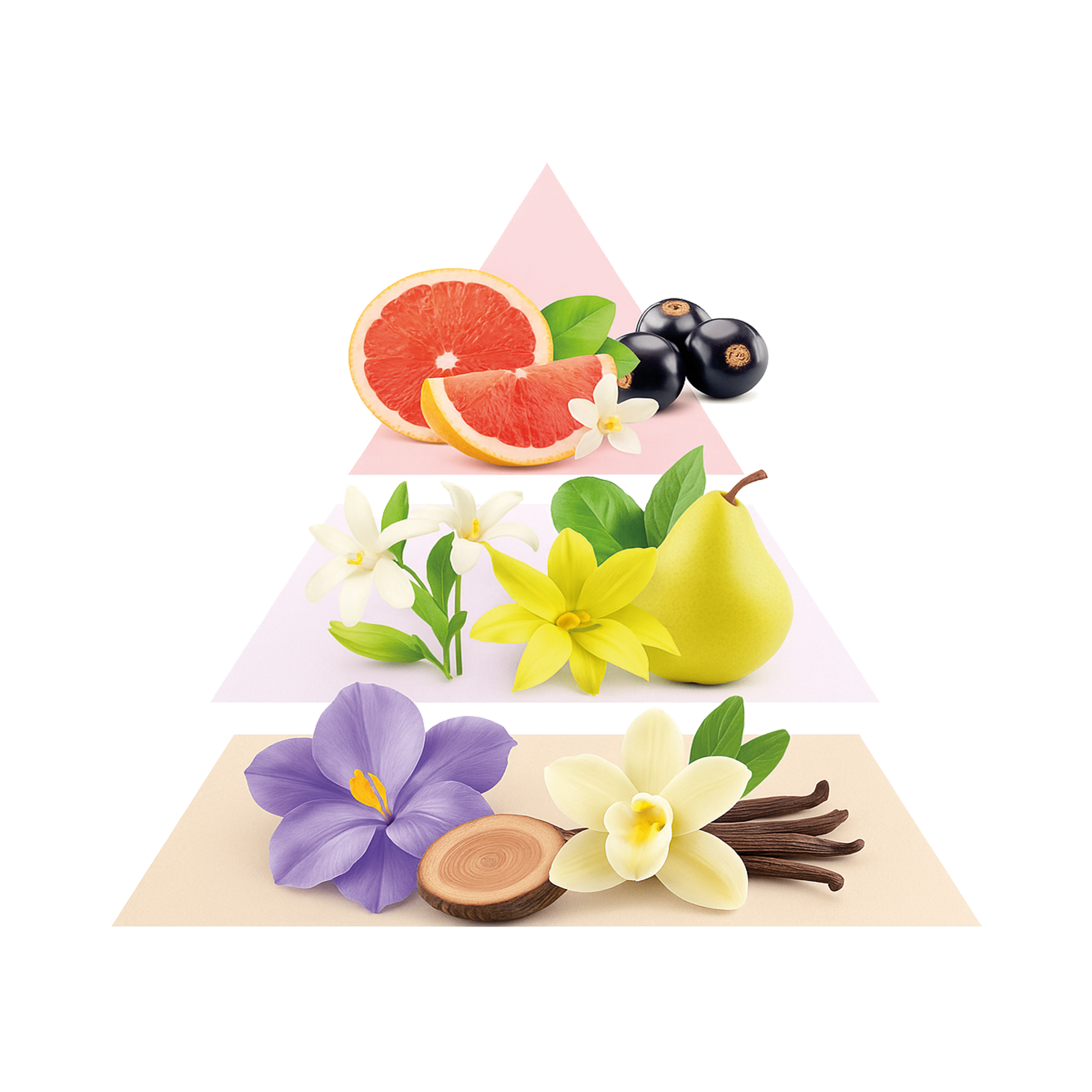 Duftpyramide Motivation Women EDP