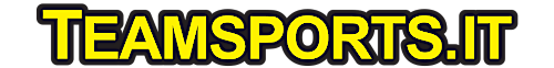 teamsports.com/it-logo