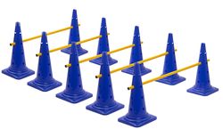 ANISKILLS® - Premium Agility Set - 10 Blaue Kegel 30,5cm hoch, 5 orangene Stangen 80cm lang - Flexibles Koordinationstraining - Hunde Parcour und Hürden Set - Agility Set - deutsches Unternehmen