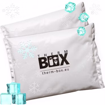 THERM BOX Profi Kühlakku für Kühlbox Set 2 Stück Groß 450g Wiederverwendbar Kühlpad Kühlpack
