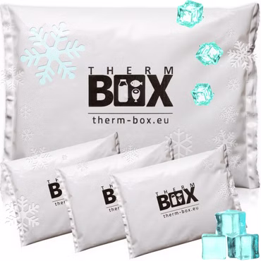 THERM BOX Profi Kühlakku für Kühlbox Set 4 Stück Groß 450g Wiederverwendbar Kühlpad Kühlpack