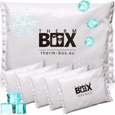 THERM BOX Profi Kühlakku für Kühlbox Set 6 Stück Groß 450g Wiederverwendbar Kühlpad Kühlpack