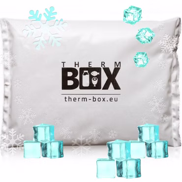 THERM BOX Profi Kühlakku für Kühlbox Set 50 Stück Groß 450g Wiederverwendbar Kühlpad Kühlpack