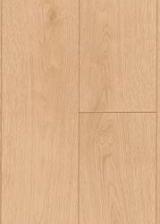 65247-DK8190F45-1290-173-4V-4027-Eiche-Rotterdam-1S-DET.jpg 65247-DK8190F45-1290-173-4V-4027-Eiche-Rotterdam-1S-DET.jpg