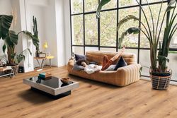 65162-DK8300F05-1290-253-4V-WL-Amadeus-Oak-1S-77147-A.jpg 65162-DK8300F05-1290-253-4V-WL-Amadeus-Oak-1S-77147-A.jpg