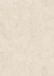 65219-DK8172F07-776-387-4V-WL-Bologna-FL-FLO.jpg 65219-DK8172F07-776-387-4V-WL-Bologna-FL-FLO.jpg