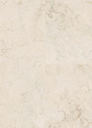 65183-DK8172F07-780-398-4V-WL-Bologna-FL-DET.jpg 65183-DK8172F07-780-398-4V-WL-Bologna-FL-DET.jpg