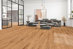 67467-DK8229F01-1290-246-4V-4001-Coca-Oak-1S-77262-A.jpg 67467-DK8229F01-1290-246-4V-4001-Coca-Oak-1S-77262-A.jpg