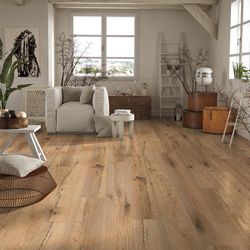 56876-6397-1285-192-4V-4003-Oak-Arbusto-braun-1S-77010-A.jpg 56876-6397-1285-192-4V-4003-Oak-Arbusto-braun-1S-77010-A.jpg