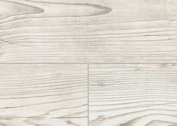 52467-568-1286-194-4V-4018-Tauernfichte-weiss-1S-DET.jpg 52467-568-1286-194-4V-4018-Tauernfichte-weiss-1S-DET.jpg