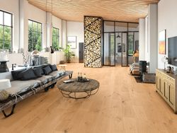 52470-765-1286-194-4V-4030-Eiche-Detroit-gelb-1S-04008-A.jpg 52470-765-1286-194-4V-4030-Eiche-Detroit-gelb-1S-04008-A.jpg