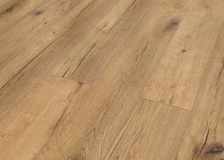 52998-6398-1286-194-4V-4030-Oak-Arbusto-natur-1S-3D.jpg 52998-6398-1286-194-4V-4030-Oak-Arbusto-natur-1S-3D.jpg