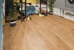 52572-765-1286-194-4V-4030-Eiche-Detroit-gelb-1S-77116-A.jpg 52572-765-1286-194-4V-4030-Eiche-Detroit-gelb-1S-77116-A.jpg